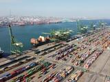 Interview: China's accession to WTO benefits world, says Chinese ambassador