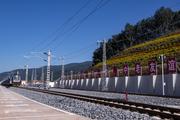 East China's Shandong launches China-Laos int'l freight train service