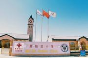 Feature: China-aided schools make education easily accessible for Botswana children