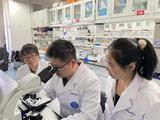 Chinese scientists develop precise gene-editing delivery tool