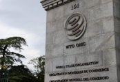 Interview: China is prominent, active member of WTO, says WTO spokesperson 