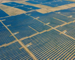 China's carbon trading market gets brisker as compliance deadline approaches 
