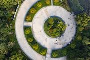 Yearender-China Focus: China embarks on realistic path toward decarbonized future