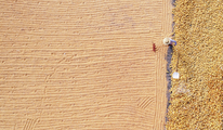 Interview: Minister stresses efforts to safeguard grain security