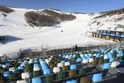 Interview: Beijing Winter Olympics plays pivotal role in bringing world together, says expert