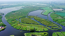Central, western China to push engineering, agriculture in higher education
