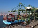 China's bulk commodity market rebounds in December