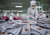 China's Ningxia tops in export growth in 2021