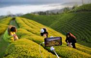 The Problems and Countermeasures of China's Live Broadcast E-commerce Development
