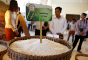 Cambodia's rice export to China exceeds 300,000 tons for 1st time last year