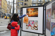 Chinese New Year photo exhibition opens in Bulgaria