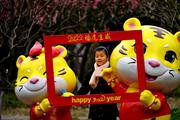 Shanghai's tourism sector rakes in billions during Spring Festival