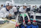 China sees growing inclusive financing for small firms: official