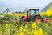 Agricultural Bank of China ups support for major sectors