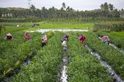 China strengthens South-South cooperation to promote agricultural development