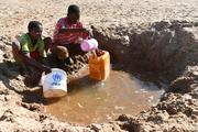 China to offer emergency food aid to drought-afflicted Horn of Africa countries: FM