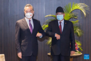 China willing to cement friendship with Nepal, safeguard regional peace: Wang Yi