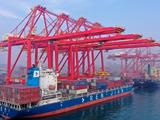 China's cargo, container throughput rises in first two months