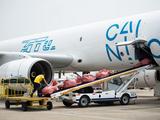 Trade between China's Hunan, B&R countries surges in first 2 months 