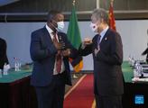 Interview: China, Zambia boast huge potential for cooperation, says expert