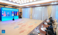 Chinese, ROK FMs hold video meeting on bilateral ties