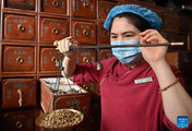 China sends TCM experts to Cambodia to help fight COVID-19