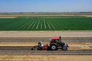 China Focus: All-out efforts under way on summer grain production