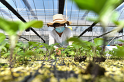 Across China: China's Shandong gears up for spring farming