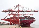 247 foreign firms in Shanghai included in "white list" to resume production