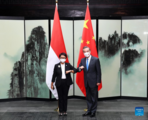 Chinese foreign minister holds talks with Indonesian counterpart