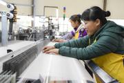 Chinese premier stresses keeping employment stable, logistics smooth