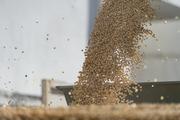 China to further expand soybean production