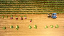 China capable of ensuring grain security: experts