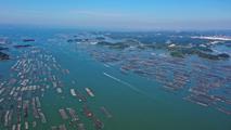 China's marine economy logs steady growth in 2021