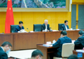 Chinese vice premier stresses stabilizing industrial, supply chains