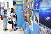 Chinese, Bahamian FMs exchange congratulations on 25th anniversary of diplomatic ties