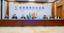China calls on BRICS countries to gather consensus in face of global challenges