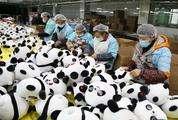 China's toy export growth hits 5-year high