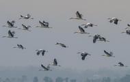 World Bank approves funds to promote biodiversity, carbon neutrality in Chinese cities