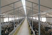 China's dairy output edges up in first four months