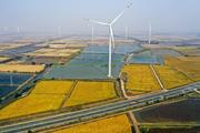 【Financial Str. Release】China leverages fiscal policies to spur decarbonization