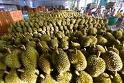 Southeast Asian fruits ride RCEP wave to Chinese market