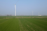 China's Shandong taps into offshore wind power