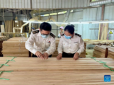 Across China: Tiny bamboo toothpick prying up big market overseas