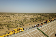 China allocates relief funds for crop pest control