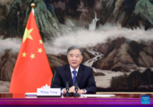 China's top political advisor holds virtual meeting with Singaporean parliament speaker