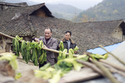 Across China: Chinese pickles gain popularity overseas