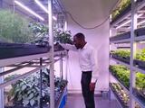 Sudanese student aims to use Chinese solutions for powering agriculture in Africa