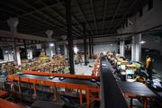 China's express logistics activities rebound in May