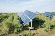 How China's fiscal strength pushes ahead carbon goals